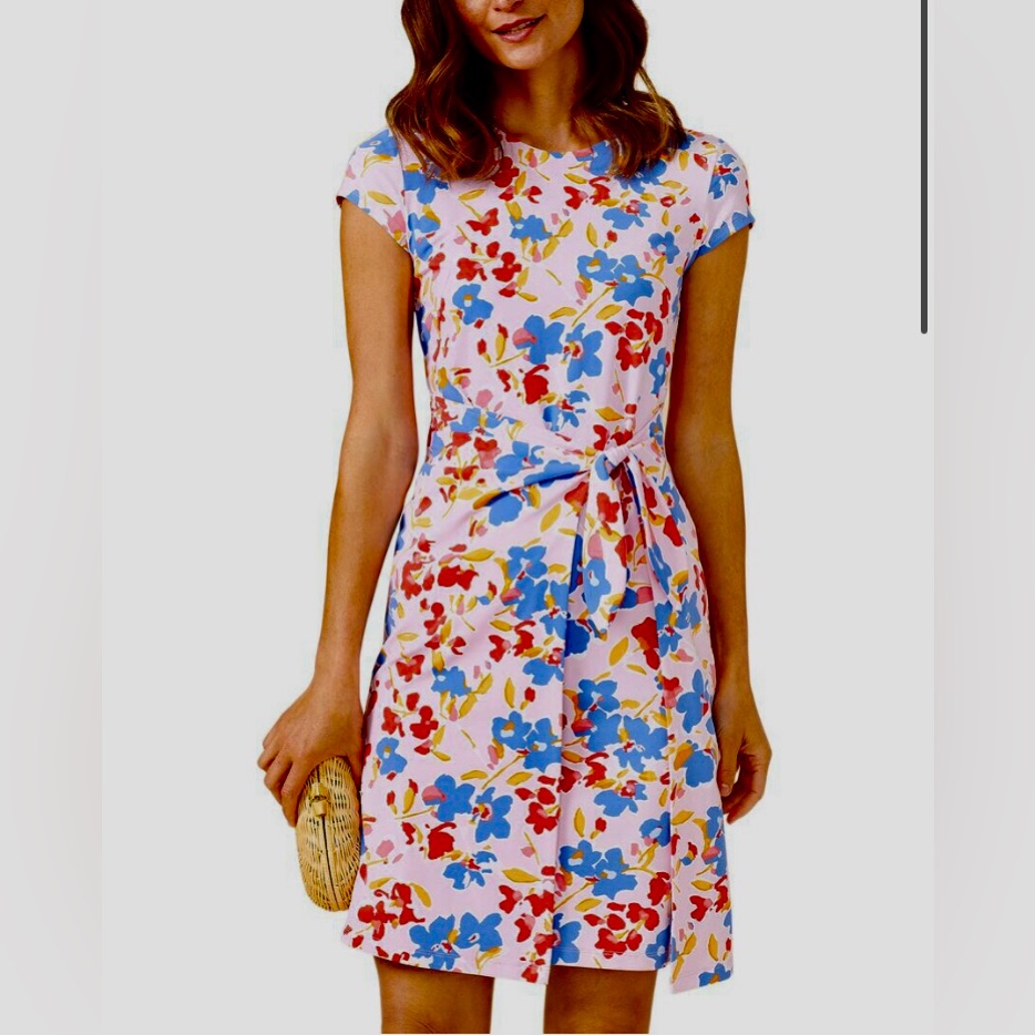 J.Mclaughlin Havana Cap Sleeve Dress Pale Pink/Blue Garden Variety Small L35